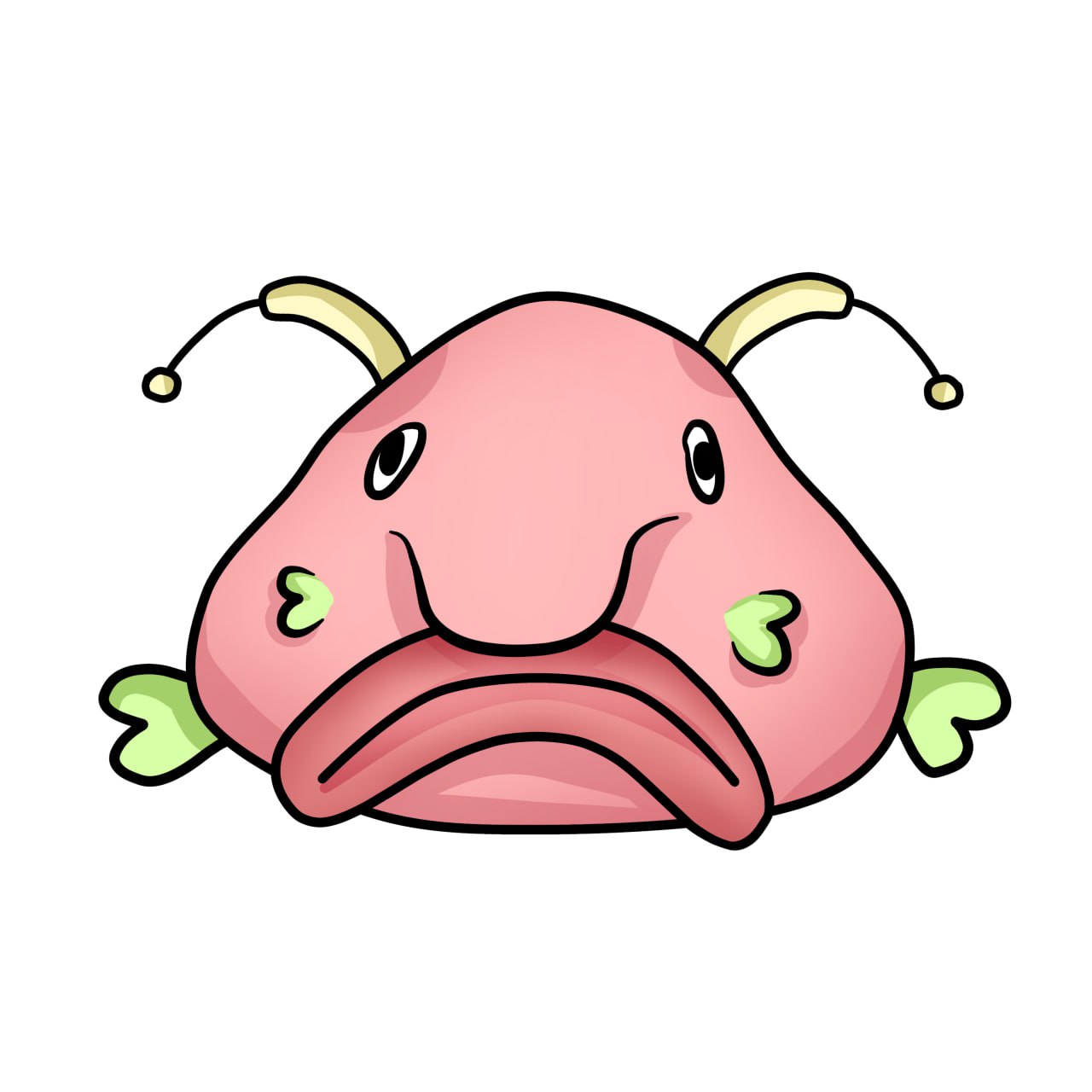 Blobfish